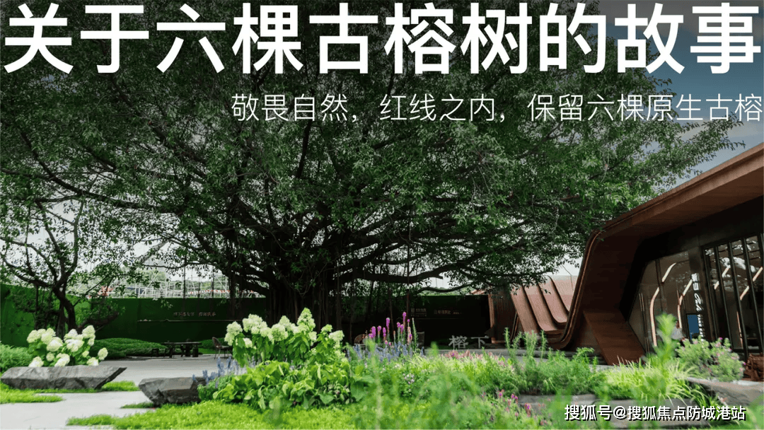 -楼盘详情•最新价格-户型图-容积率@20251229售楼处AI热搜pg电子入口联投文津府售楼处电话(联投文津府)网站-营销中心欢迎您(图13)